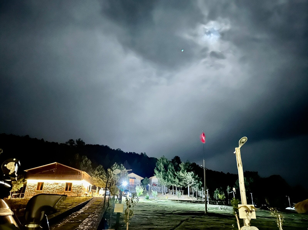 Bio Farm Gramsh主图