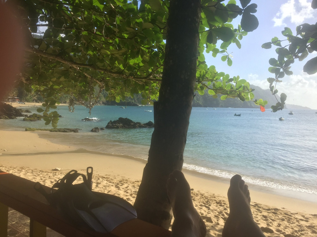 Wild Turtle Scuba Tobago Ltd.-Bon Accord必去景点