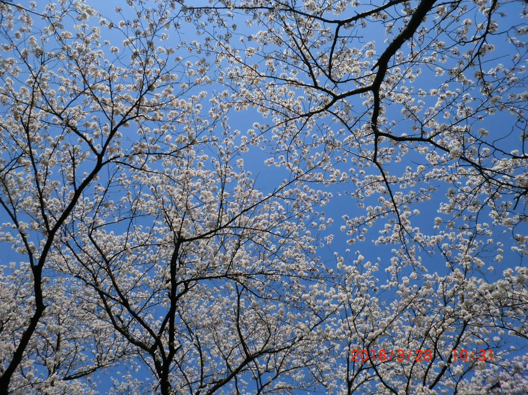 Fukuzawa Shrine-南足柄市必去景点