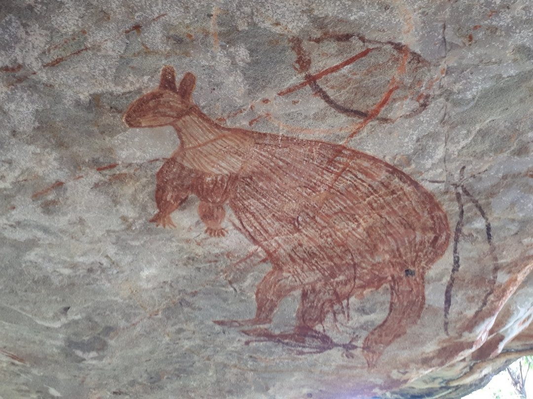 Mitchell River National Park景点图片