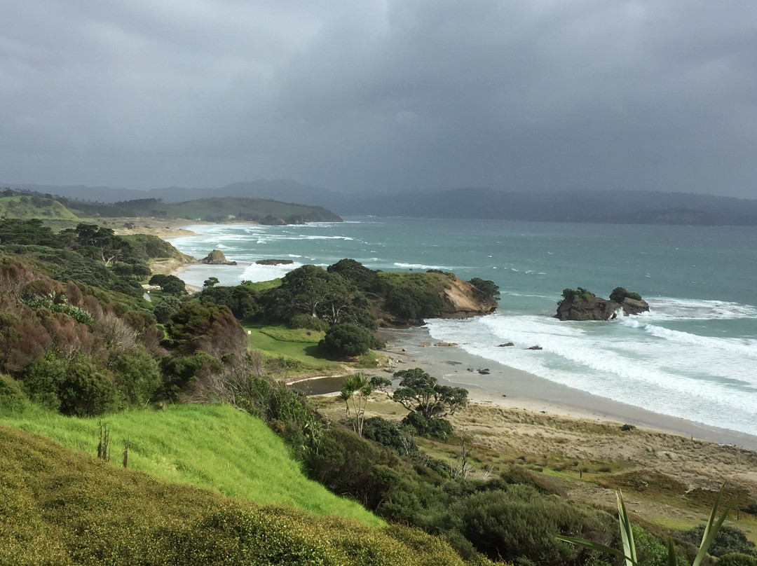 Beautiful Nature Tours Auckland-奥克兰中心地区必去景点