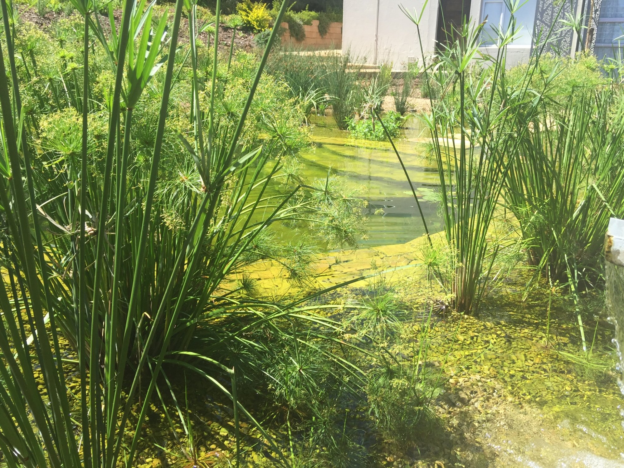 The Hydro; Stellenbosch-泳池