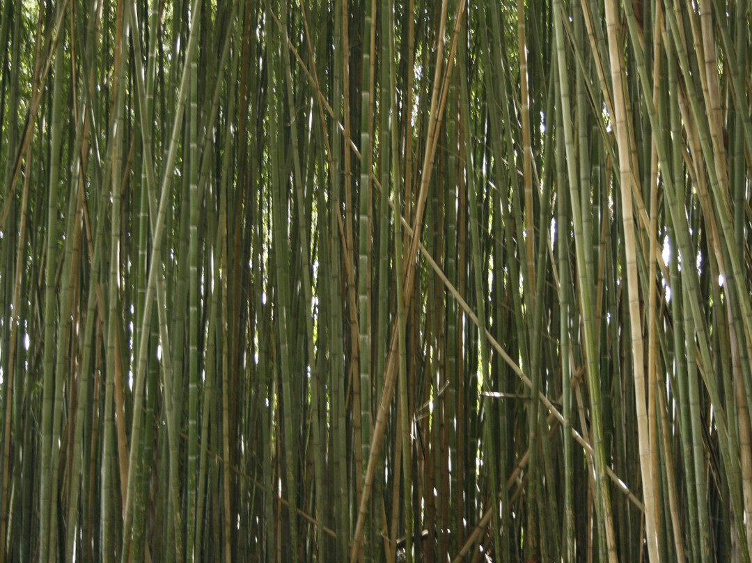 Quinta Das Lagrimas主图