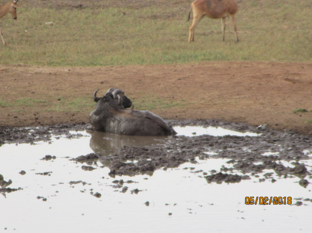 萨洛瓦台达山游乐旅馆主图