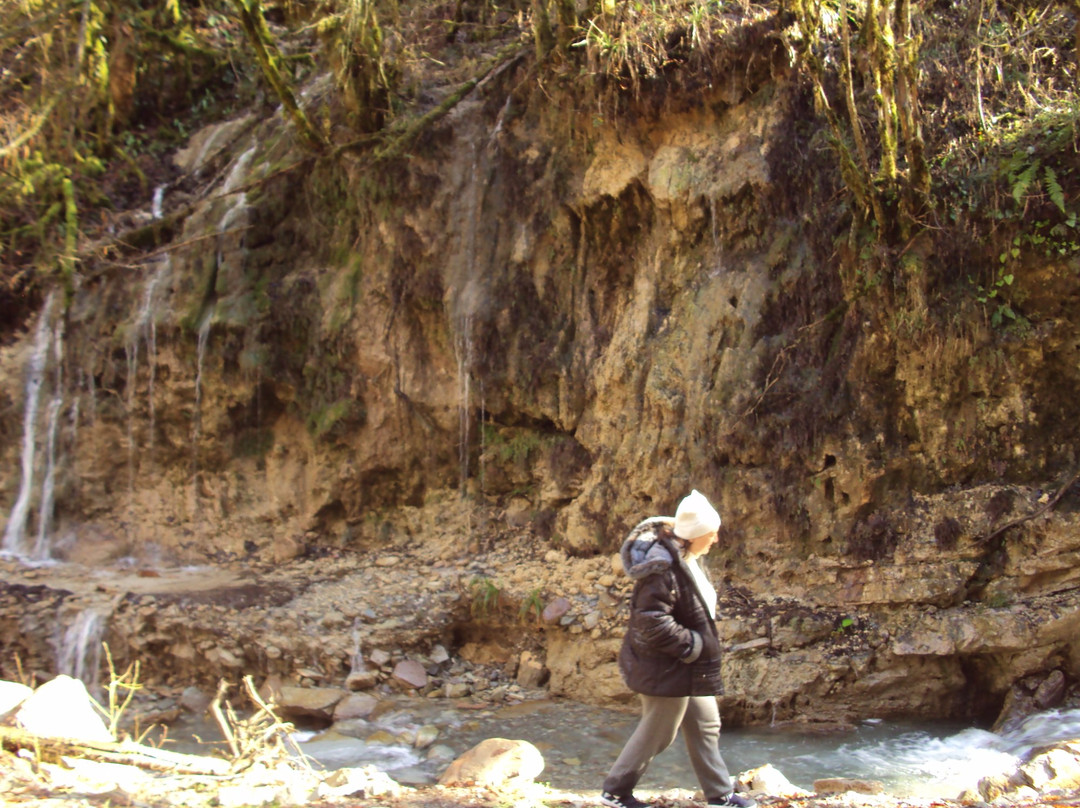 Weeping Rocks Waterfall景点图片