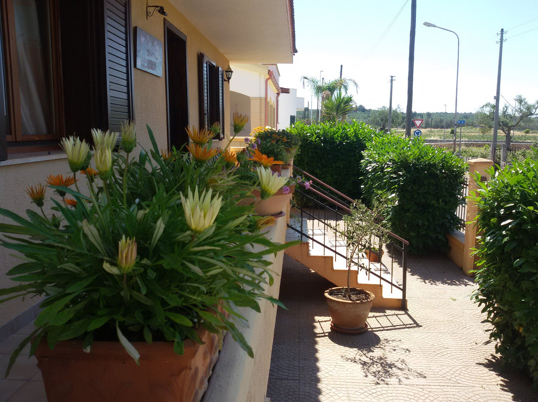 B&B Villetta Orchidea主图