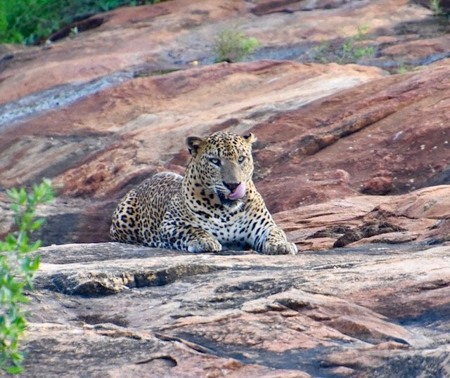 Menaka Safari-蒂瑟默哈拉默必去景点