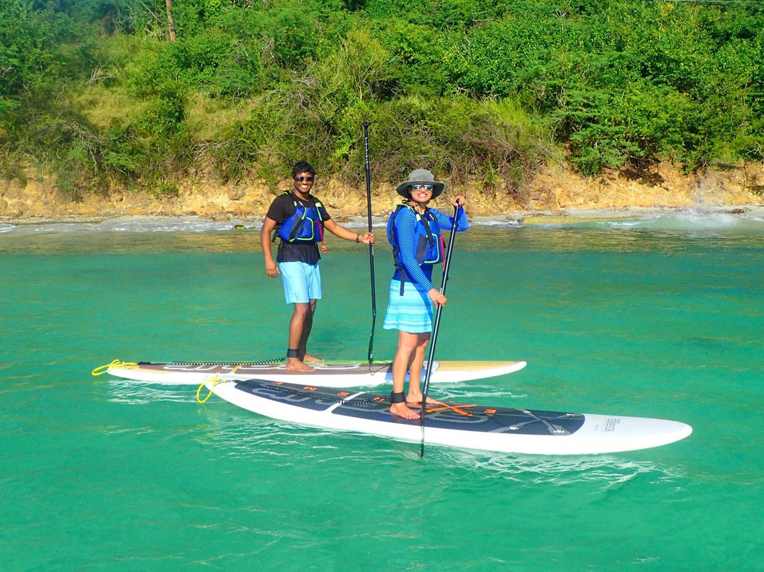 Bright Paddle景点图片