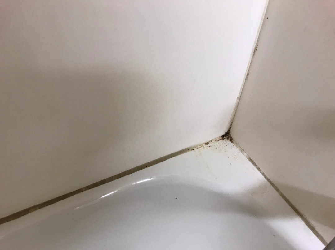 Extended Stay America - Washington, D.C. - Rockville主图