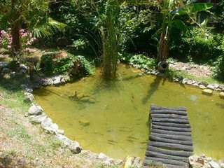 B&B La Sorgente Felitto主图