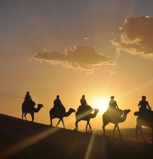 Boho Tours-迈哈米德必去景点