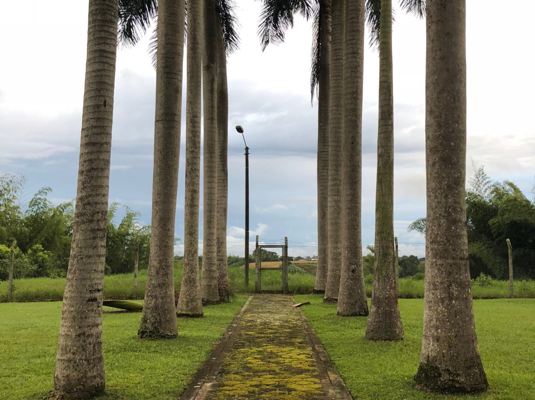 El Lugar Boutique Hotel主图