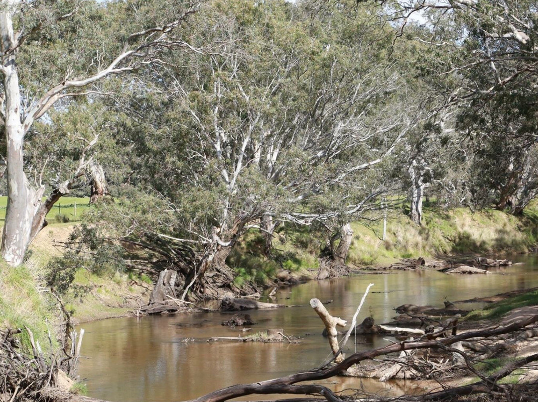 Cavendish旅游景点-Wannon River
