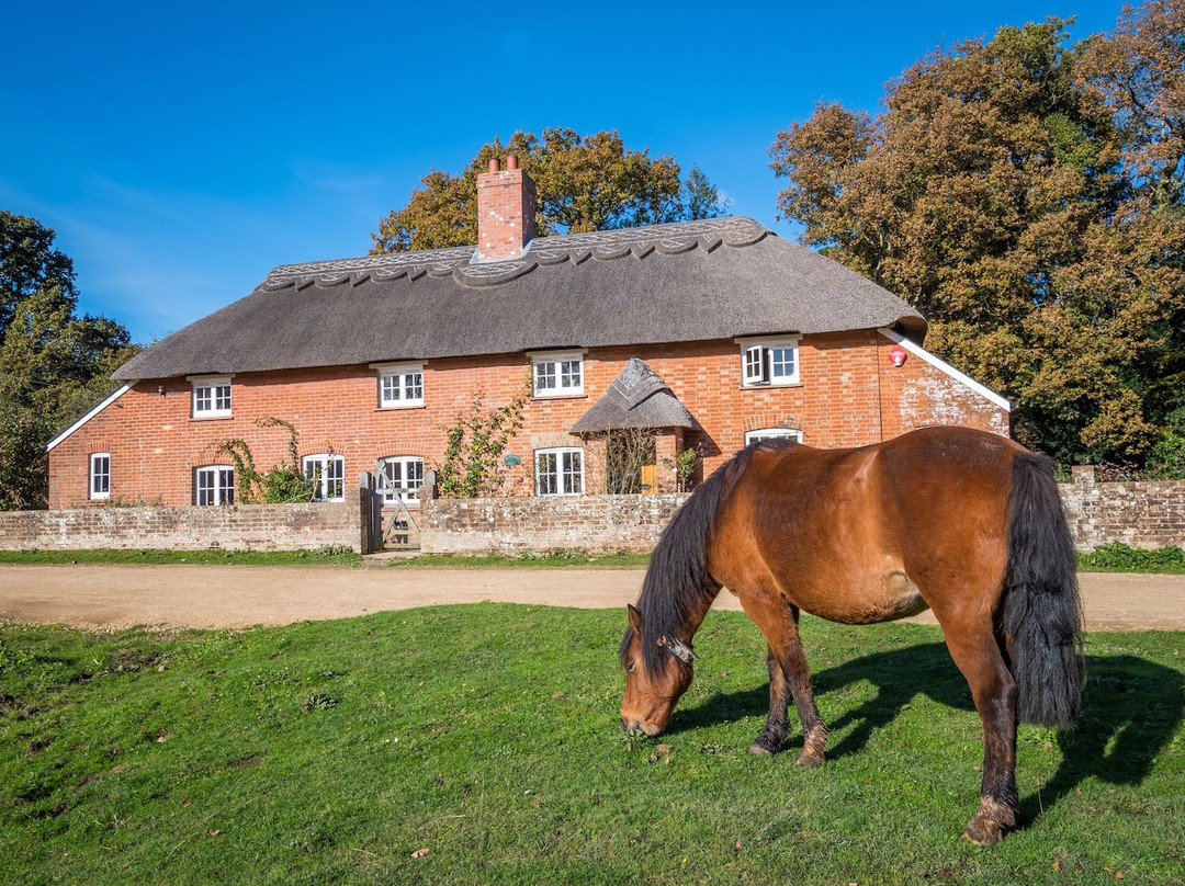 Thatched Cottage Bed and Breakfast