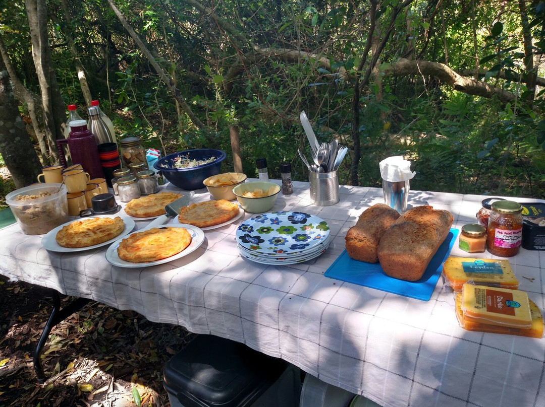 Slackpacker SA-Kenilworth必去景点