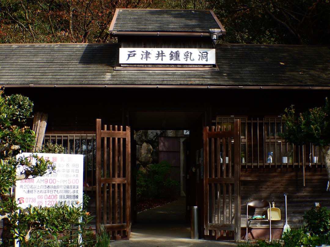Totsui Limestone Cave景点图片