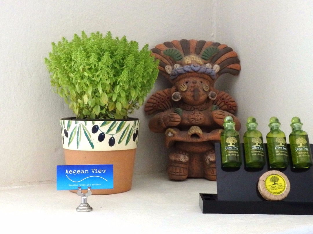 Aegean View Seaside Rooms & Studios Kea主图