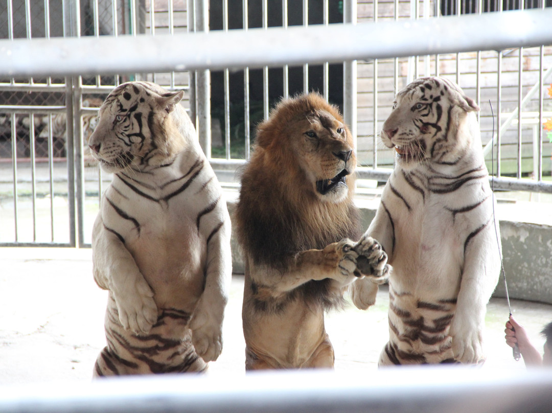 中南百草园-安吉县必去景点