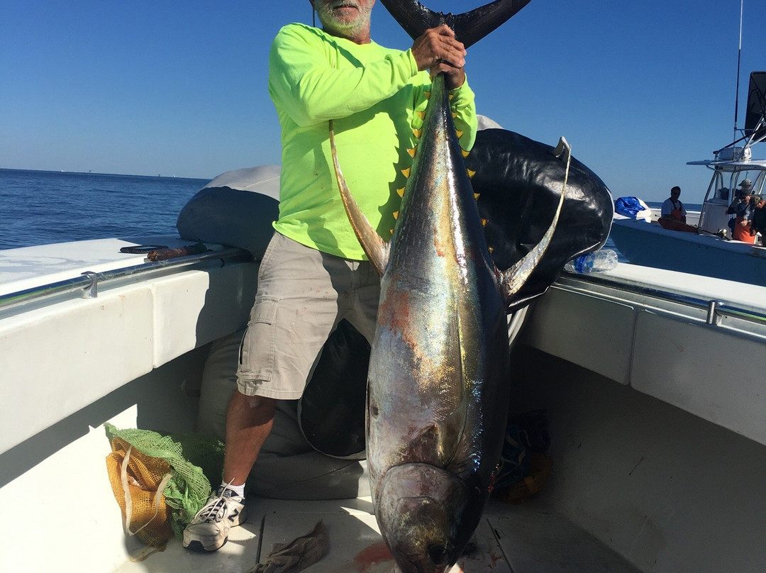 Louisiana Tuna Charters景点图片