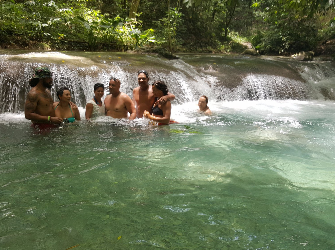 Groovy Tours Jamaica Airport Transfer And Shuttle Service-蒙特戈贝必去景点