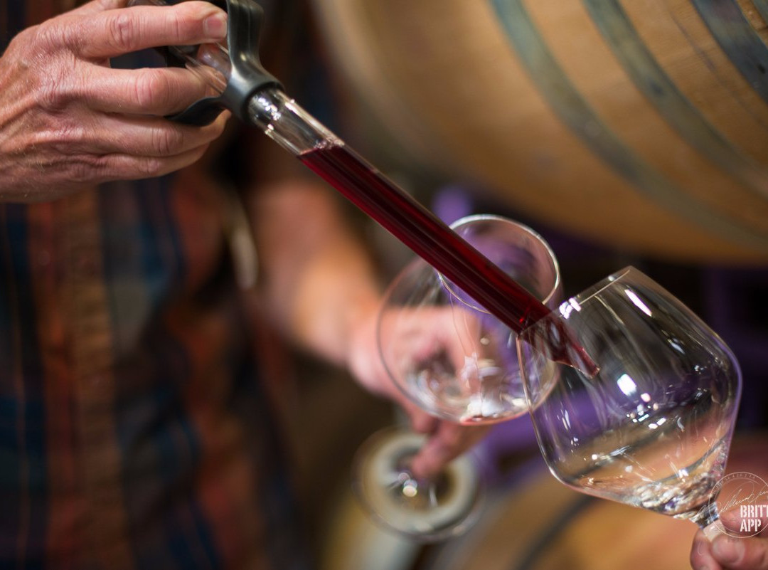 Stephen Ross Wine Cellars-圣路易斯-奥比斯波必去景点