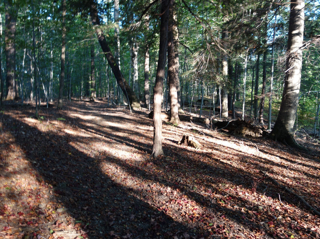 Big Creek Park-Chardon必去景点