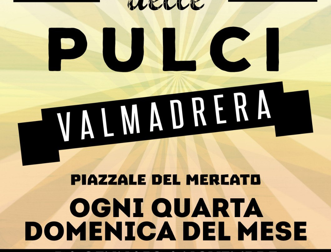Mercatino delle Pulci di Valmadrera-Valmadrera必去景点