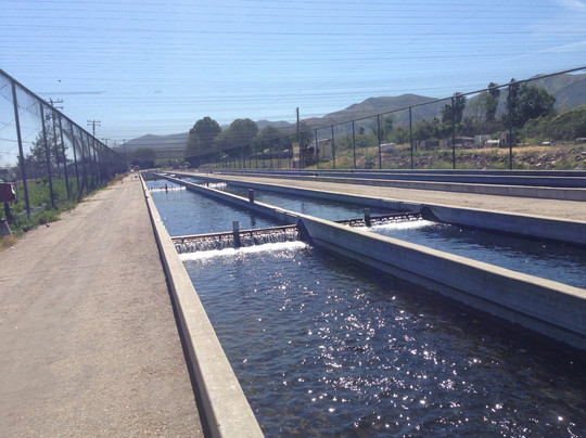 Fillmore Fish Hatchery-Fillmore必去景点