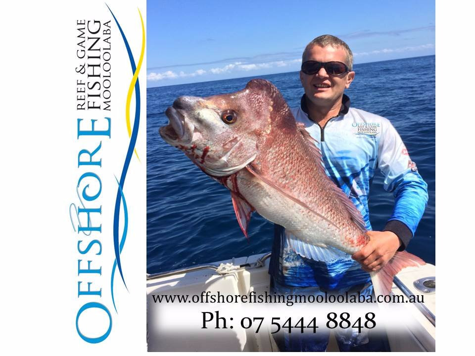 Offshore Reef & Game Fishing Mooloolaba景点图片