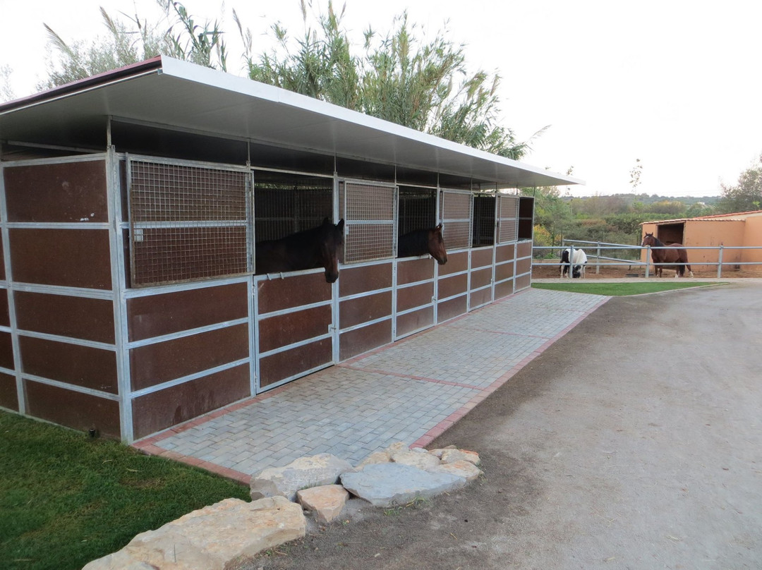 Tavira Horse Riding Quinta Beldade Stables-塔维拉必去景点
