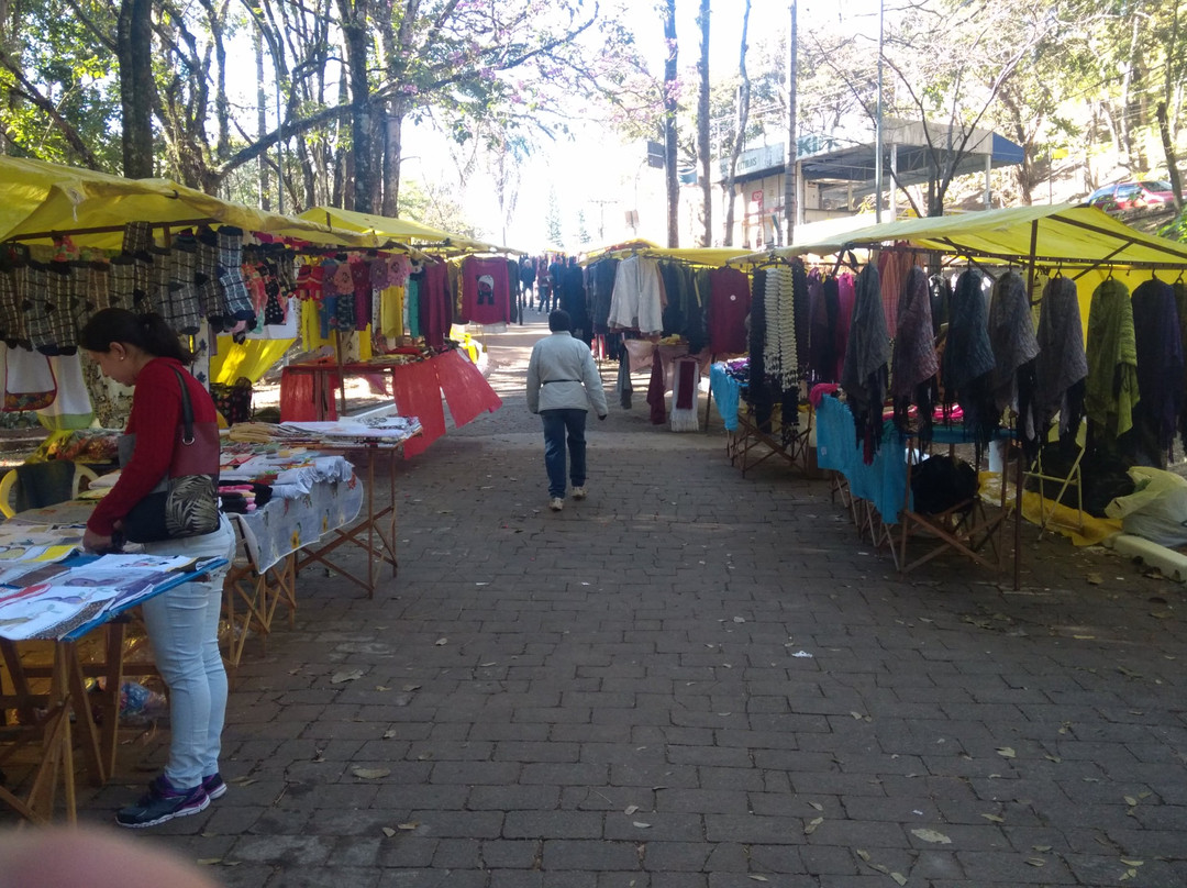 Bosque Zequinha de Abreu-阿瓜斯迪林多亚必去景点