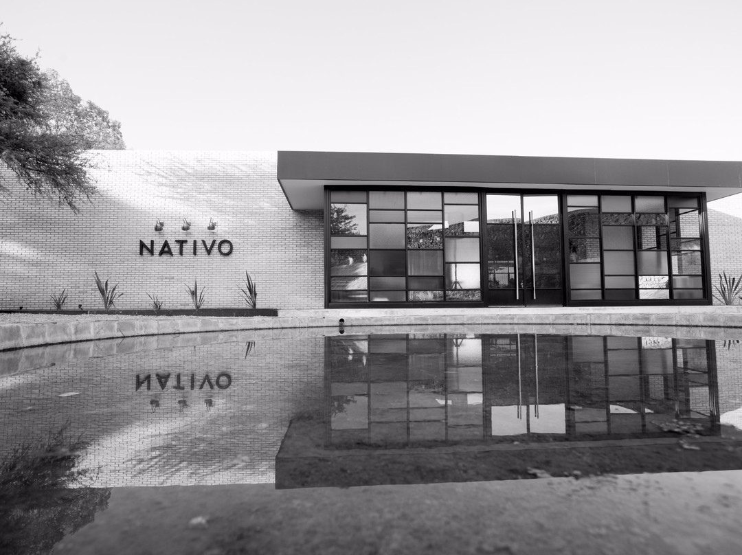 San Luis餐馆和美食-Nativo