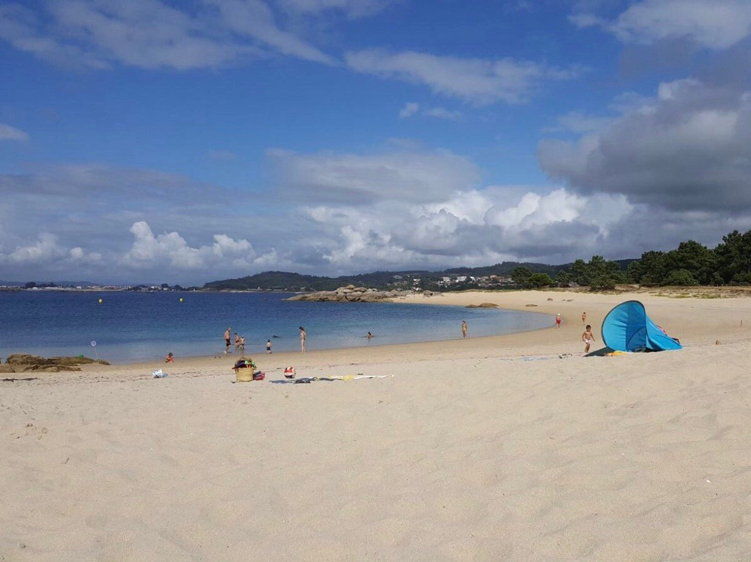 Playa Area Grande-El Grove必去景点