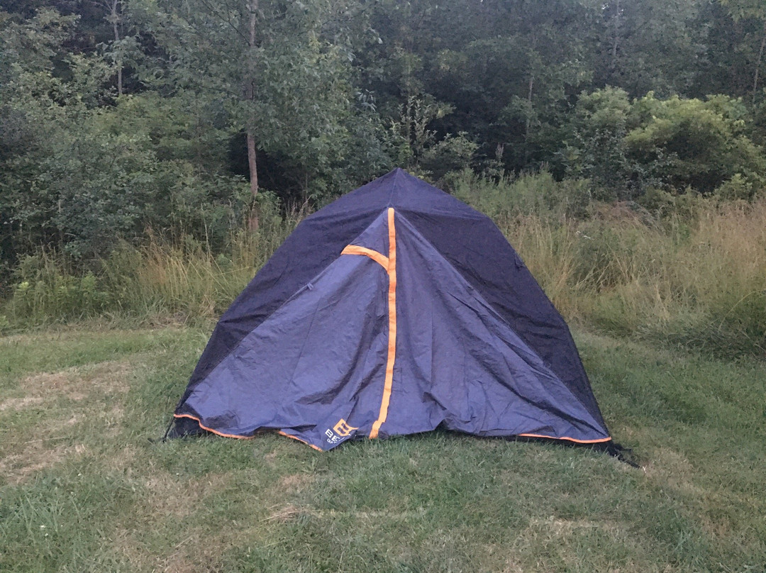 Byng Island Conservation Area-Dunnville必去景点