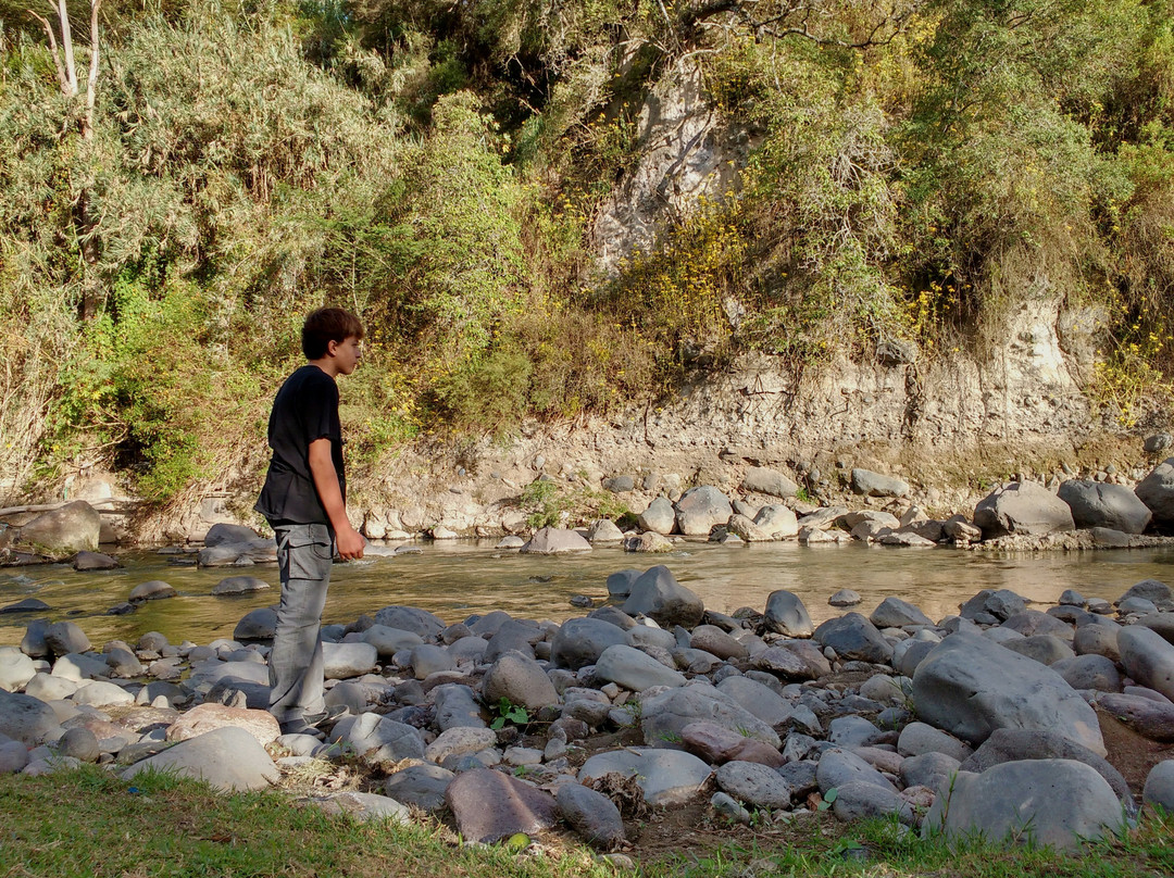 Los Algarrobos Parque Ecologico景点图片