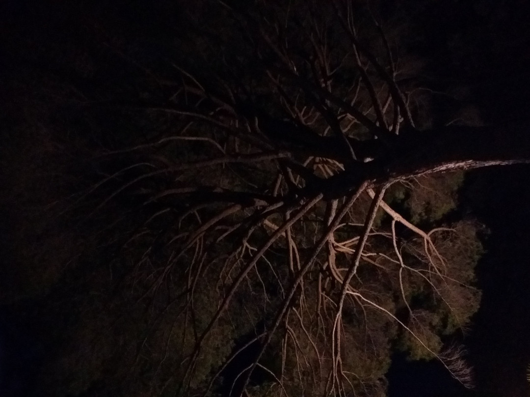 Le Mas des Oliviers主图