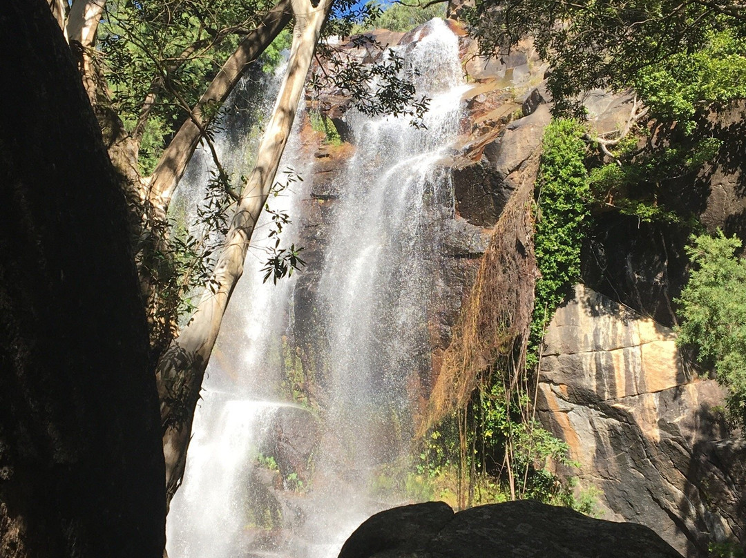 Trevethan Falls-库克敦必去景点