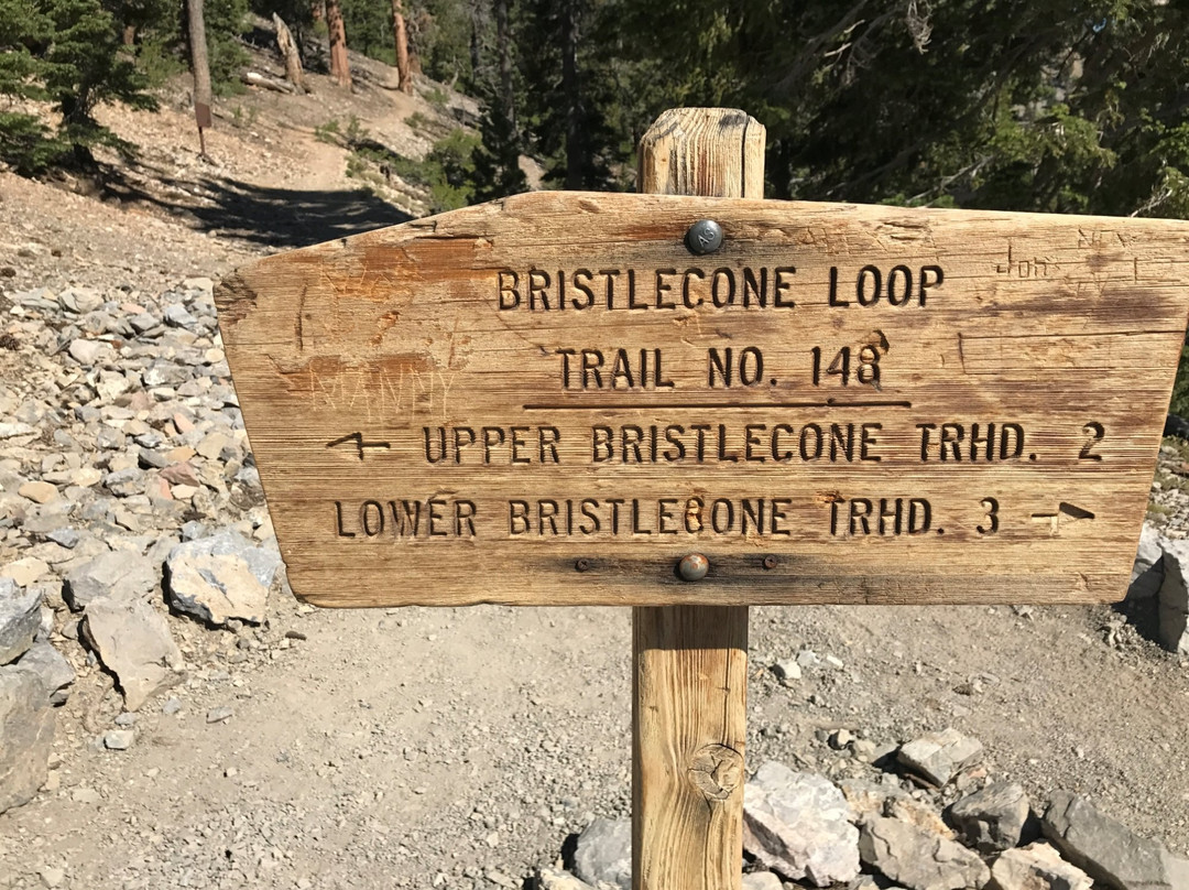Bristlecone Trail-Mount Charleston必去景点