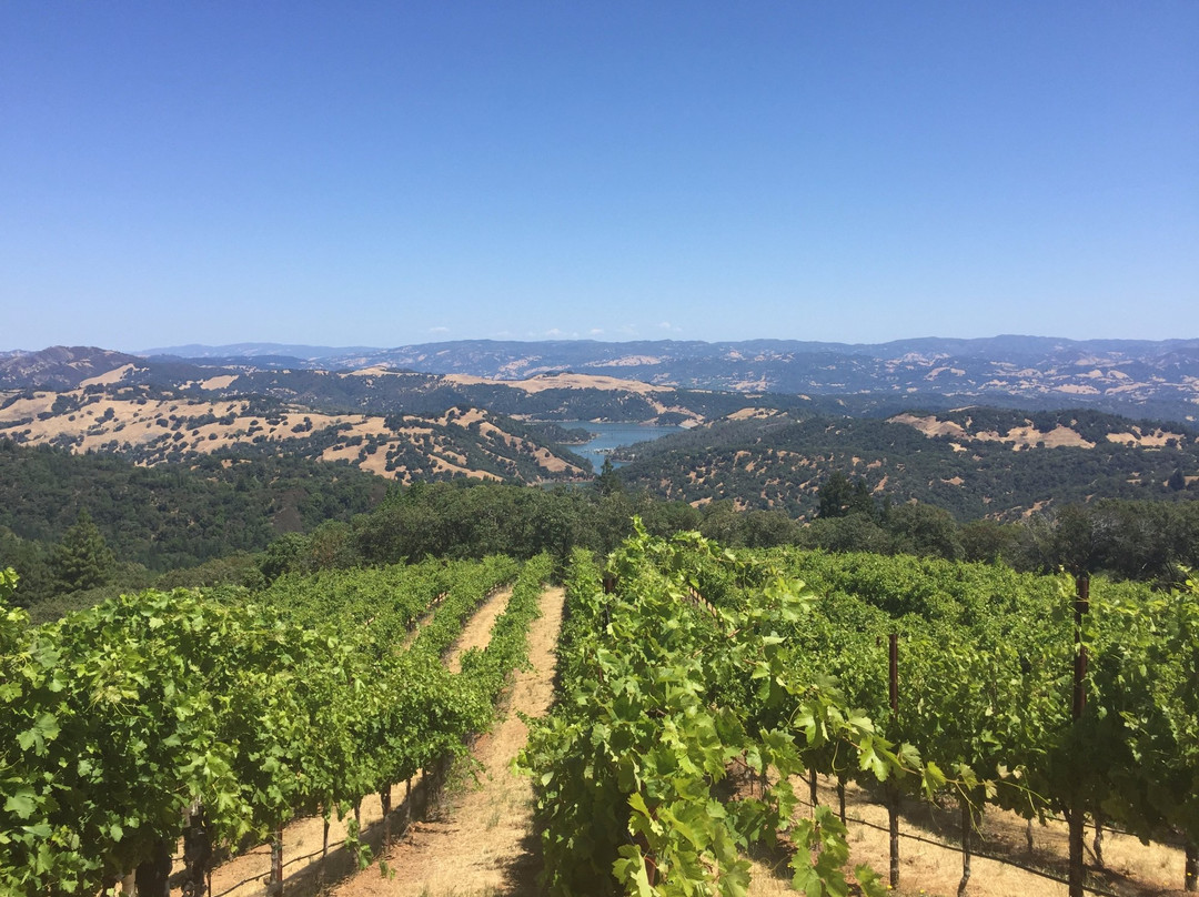 Gustafson Family Vineyard景点图片