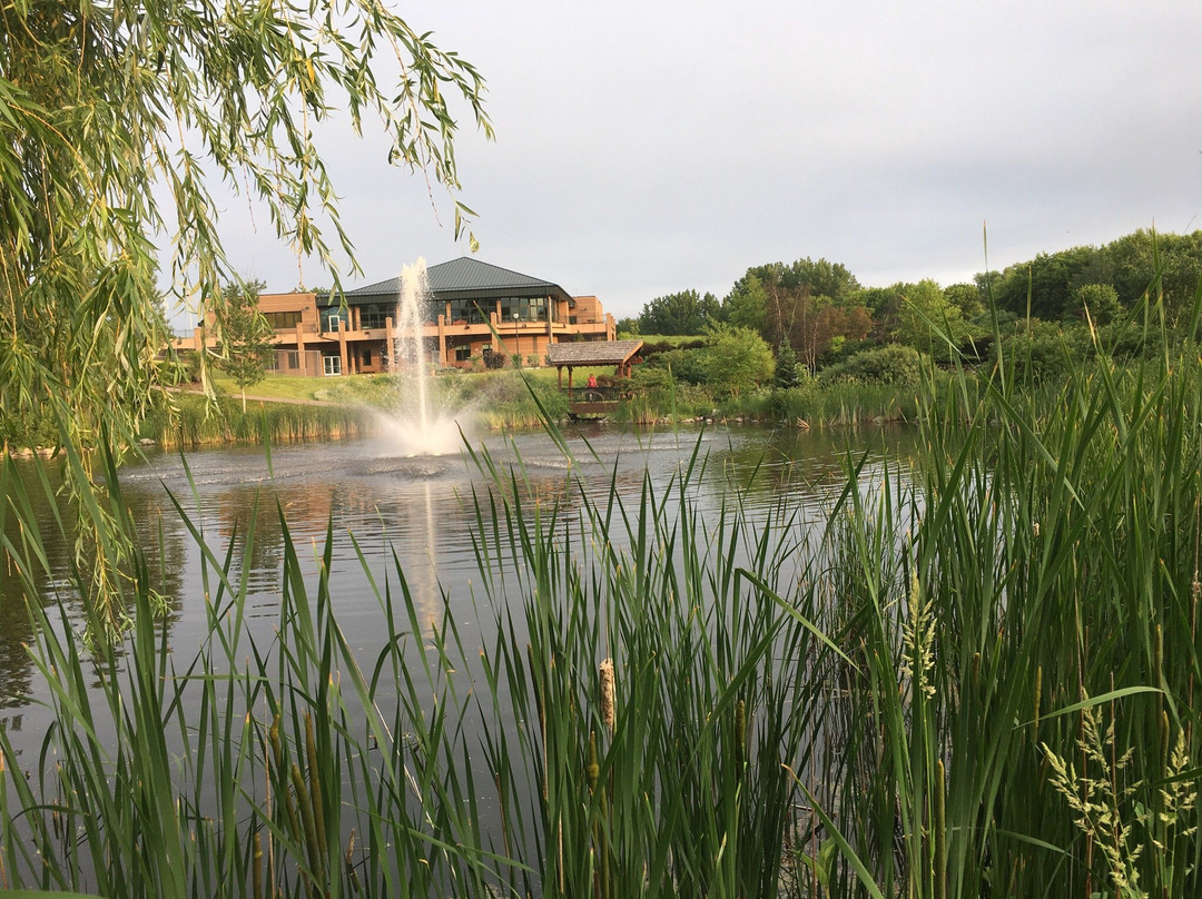 Millennium Garden-Plymouth必去景点