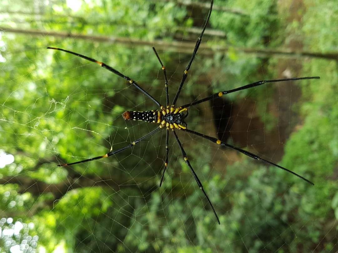 Siruvani Reservoir-Palakkad必去景点