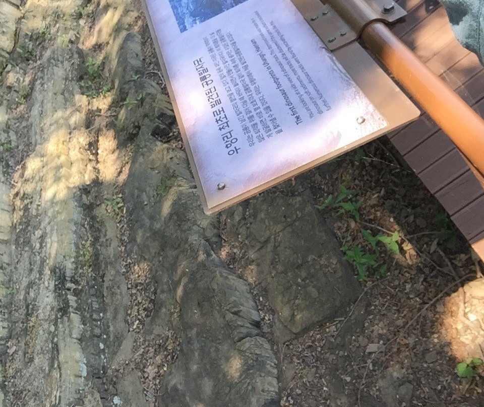 Haenam Dinosaur Museum-海南郡必去景点