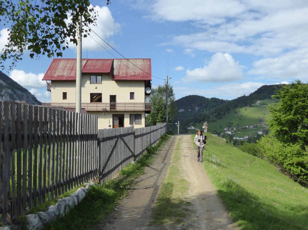 Magura旅游攻略图片