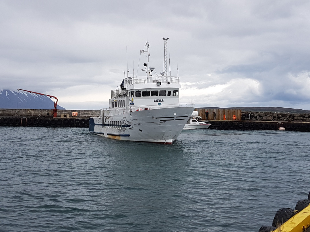 Hrisey Ferry-Hrisey Island必去景点