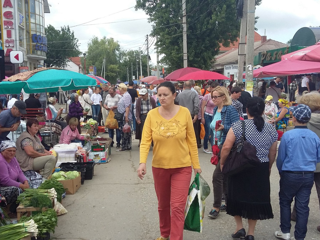 Cahul Central Market景点图片