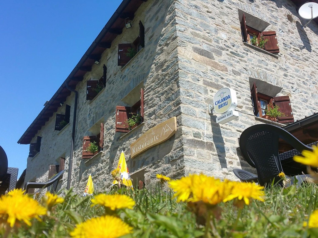 Albergo Ristorante Selva主图