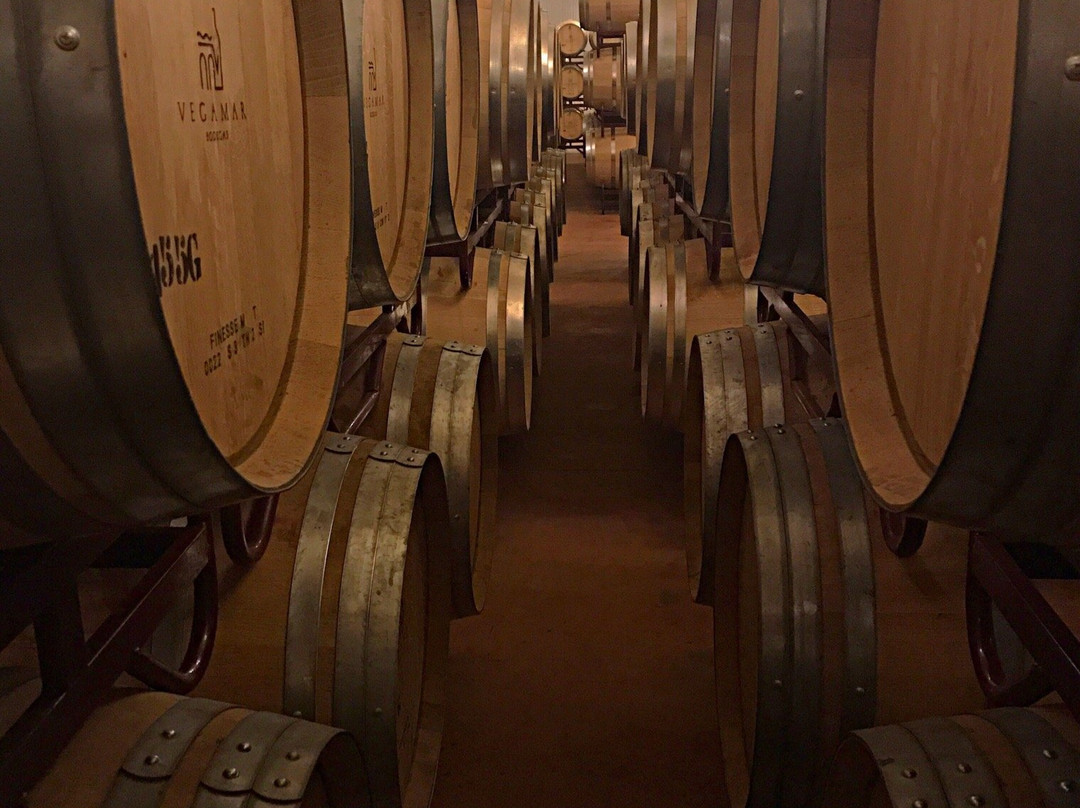 Vegamar Bodegas景点图片