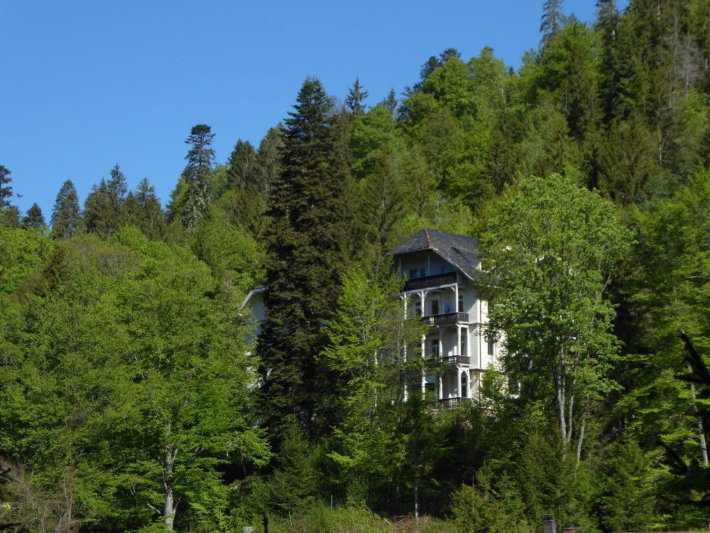 Hotel Villa Kehrwieder主图
