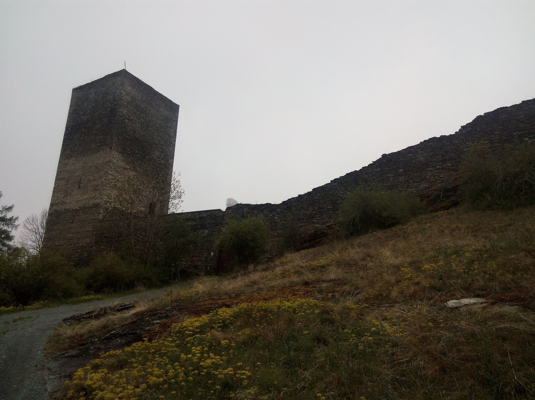 Burgruine Liebenfels景点图片