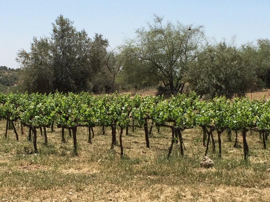 Agur Winery-Agur必去景点